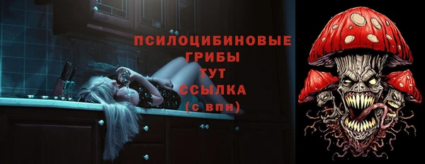 сатива Россошь
