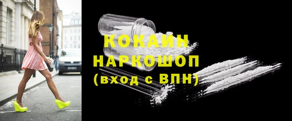 соль ск Алексин