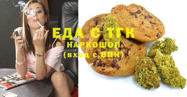 прущий лед Алзамай