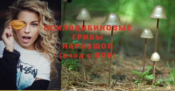 спайс Абинск