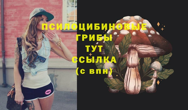 соль ск Алексин