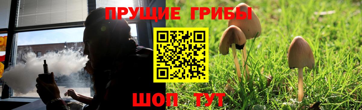 Псилоцибиновые грибы мухоморы  Псилоцибиновые грибы мухоморы  Донецк  Вход с VPN 